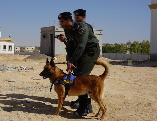 كلب خبير في الكشف عن المتفجرات