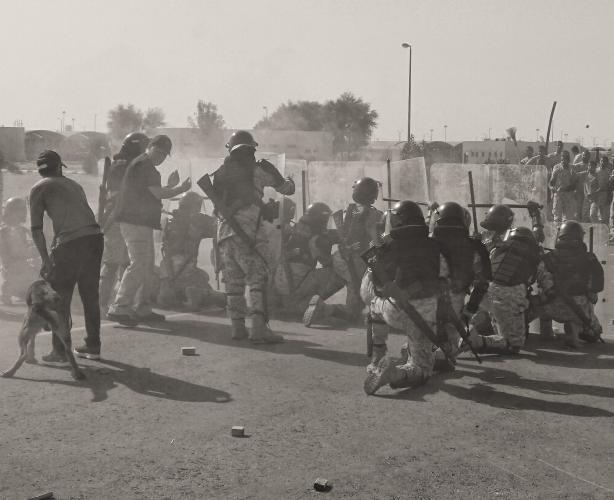 مدرب كلاب إنفاذ القانونكلاب الشغب