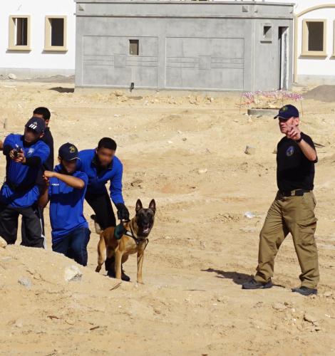 مدرب كلاب التدخل